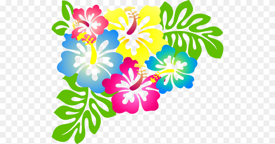 Clip Art At Clipart Library Hawaii Flores, Flower, Plant, Hibiscus, Graphics Free Png