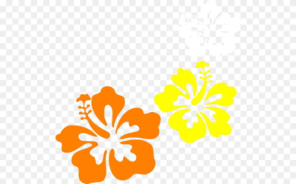 Clip Art At Clker, Flower, Hibiscus, Plant, Anther Png Image