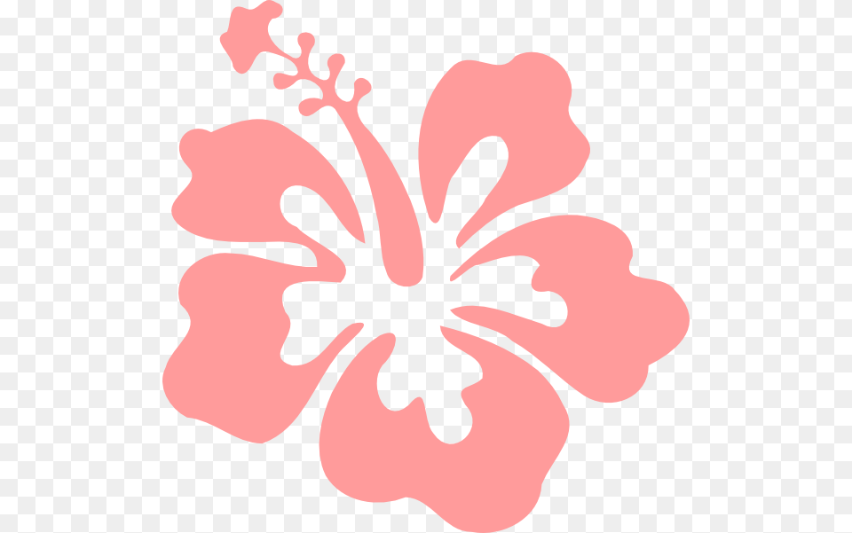 Clip Art At Clker Hibiscus Clip Art, Flower, Plant, Person Png