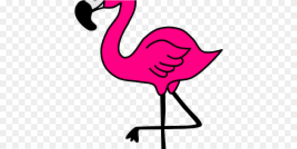 Clip Art Background Pink Flamingo Clip Art, Animal, Bird, Fish, Sea Life Free Png