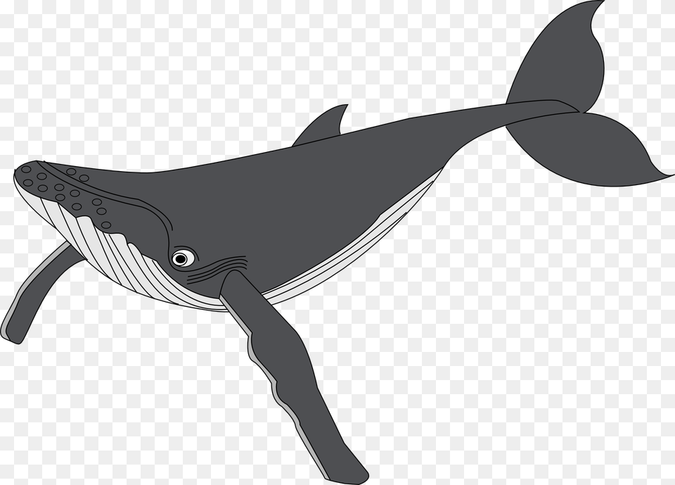 Clip Art Baleine Whale Hd Photos Clipart Humpback Whale Clipart, Animal, Mammal, Sea Life, Smoke Pipe Png Image