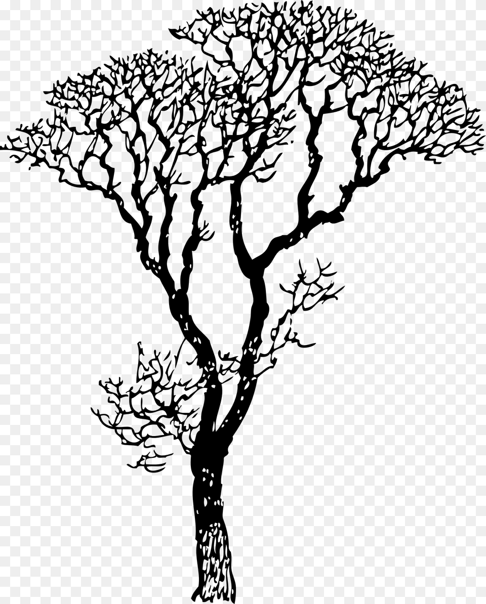 Clip Art Bare Tree Black And Tree Black And White, Doodle, Drawing, Plant, Silhouette Free Transparent Png