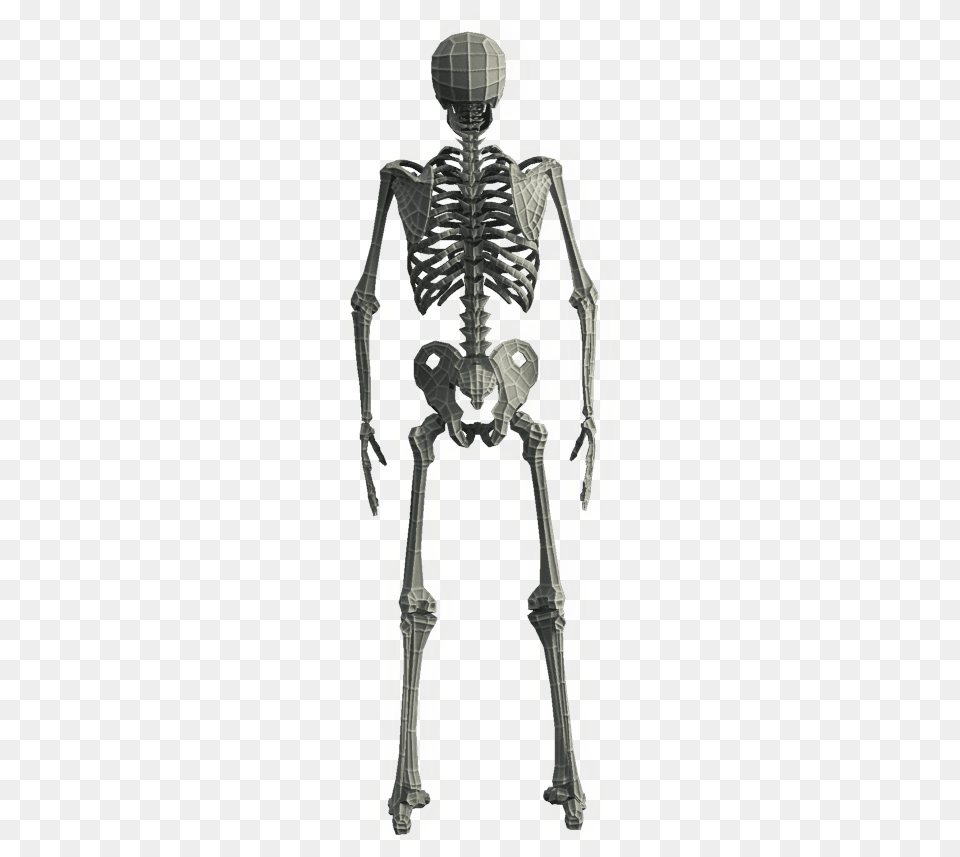 Clip Art Base Mesh D Models Skeleton, Person Png Image