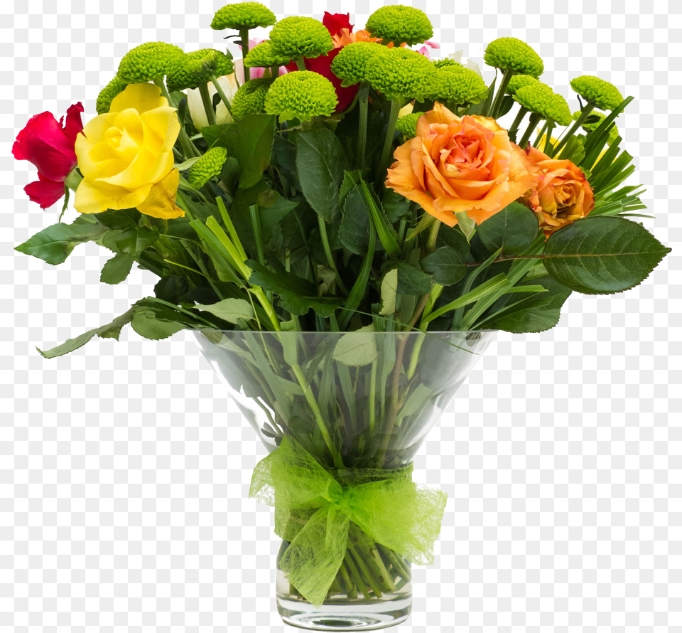 Clip Art Beach Rose Flower Vase Rose Santini, Flower Arrangement, Flower Bouquet, Plant, Floral Design Png