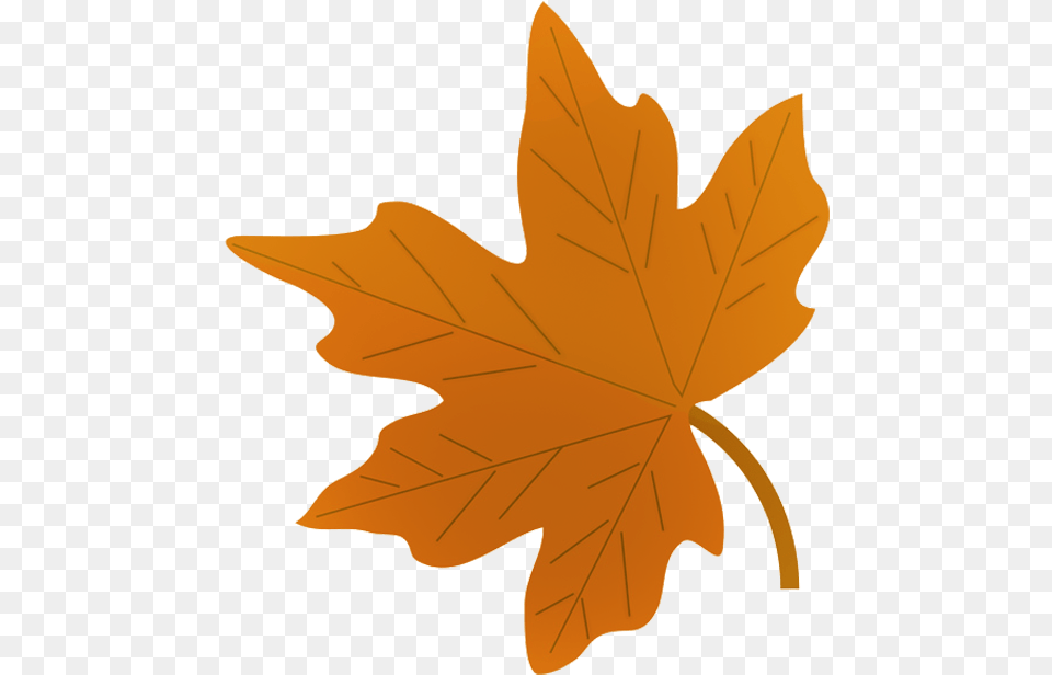 Clip Art Beautiful Autumn Fall Leaves Clip Art, Leaf, Maple Leaf, Plant, Tree Free Transparent Png