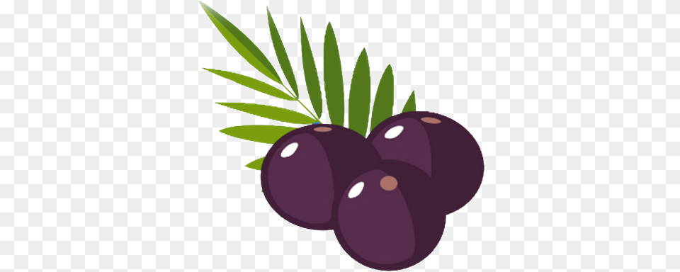 Clip Art Best Graphic Acai Berry Vector, Food, Fruit, Plant, Produce Free Png