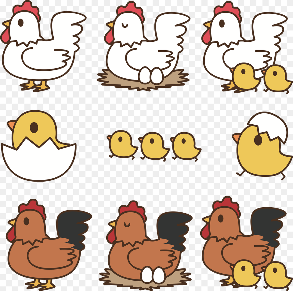 Clip Art Big Image, Animal, Bird, Chicken, Fowl Free Png Download