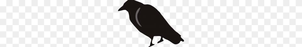 Clip Art Black Crow Clip Art, Animal, Bird, Blackbird, Quail Free Png