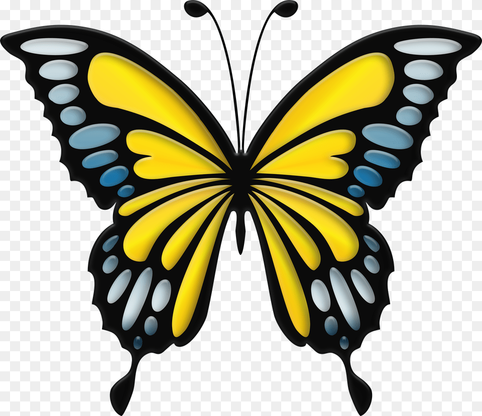 Clip Art Blue Butterfly Png Image