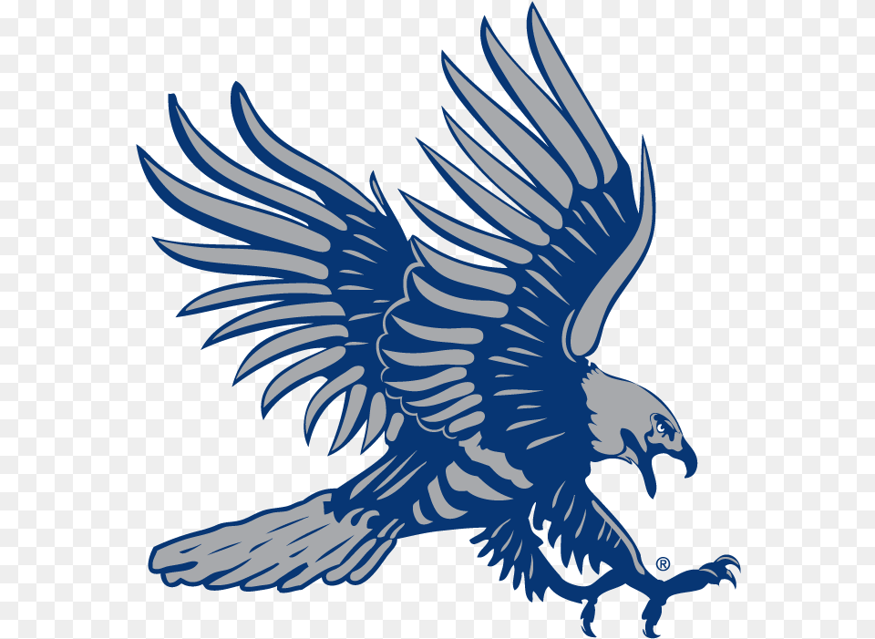 Clip Art Blue Hawk Logos Dickinson State Blue Hawks, Animal, Bird, Vulture, Eagle Png Image