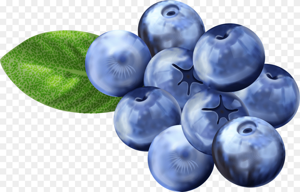 Clip Art Blueberries For Transparent Background Blueberries Clip Art Free Png Download