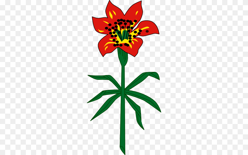 Clip Art Boot Red Bandana Clipart Saskatchewan Clip Art, Flower, Plant, Lily, Anther Free Png
