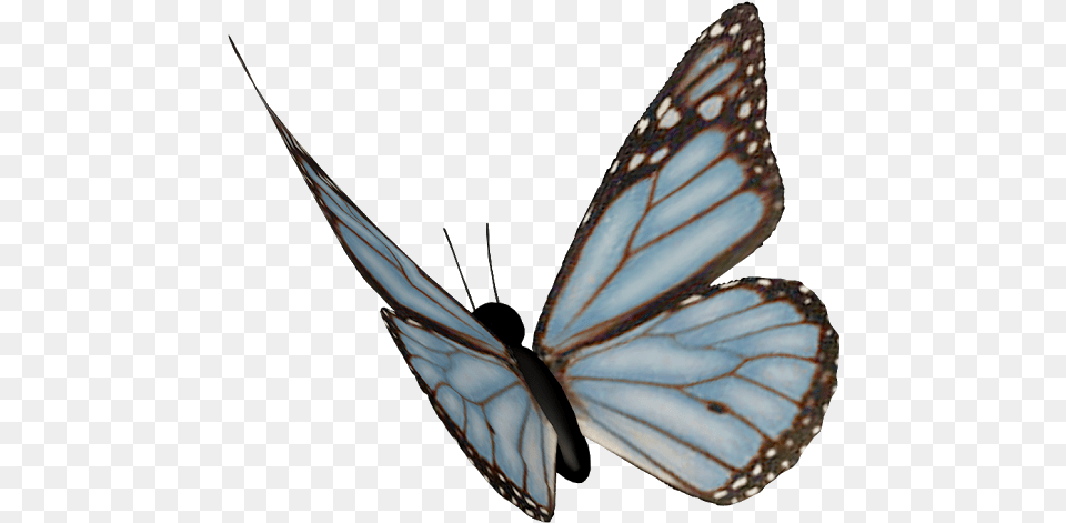 Clip Art Borboleta Asas Azuis Fundo Monarch Butterfly, Animal, Insect, Invertebrate Free Png Download