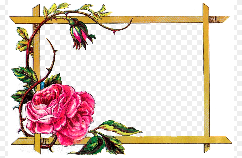 Clip Art Borders Flowers Rose, Blackboard, Flower, Plant Png Image