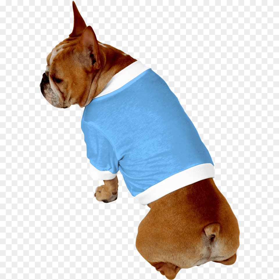 Clip Art Boxer French Bulldog Bulldog, Animal, Canine, Dog, Mammal Png