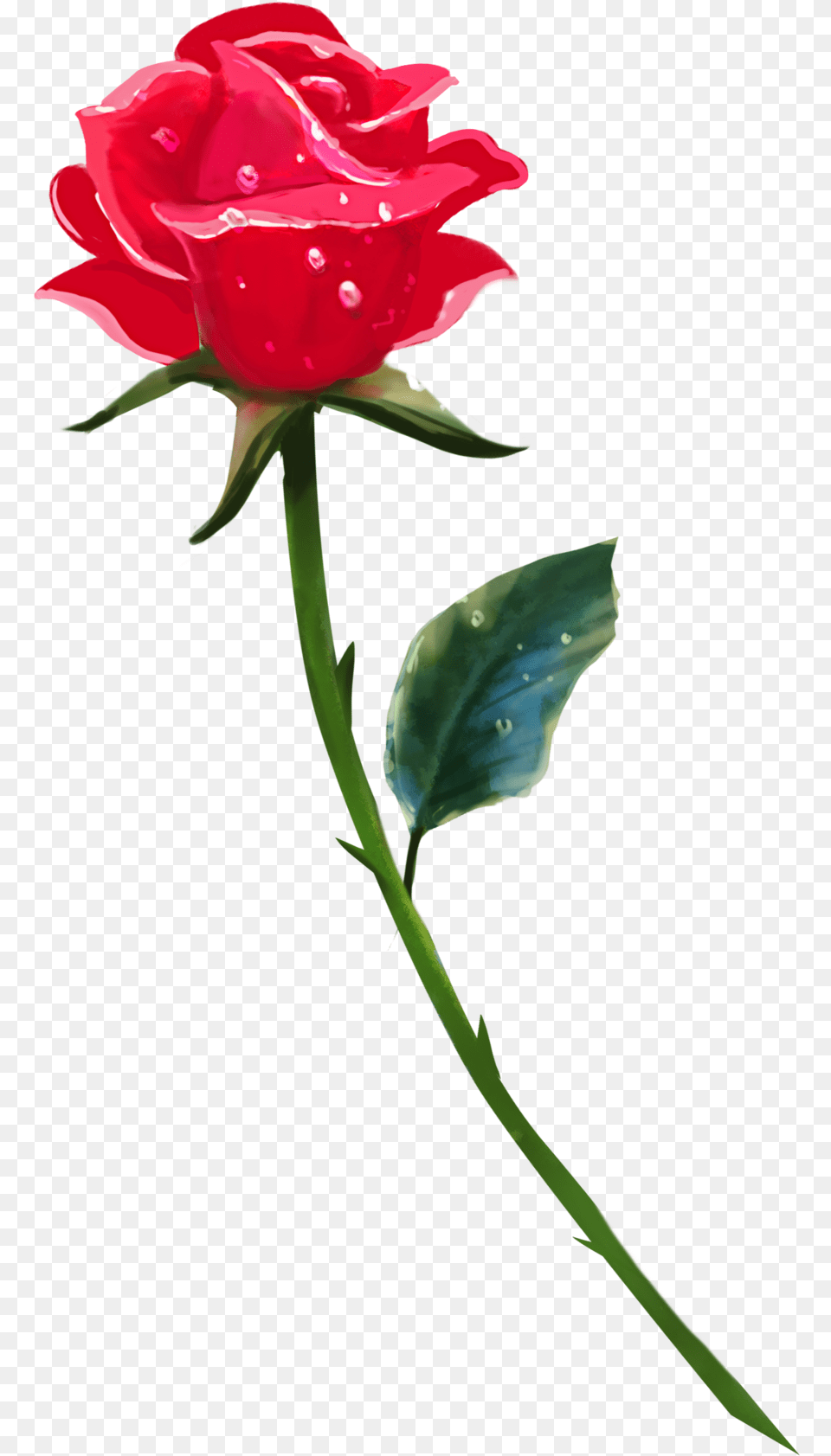 Clip Art Brookegillette Rose Flowers Single, Flower, Plant, Petal Free Png Download