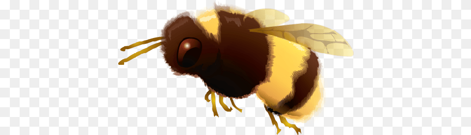 Clip Art Bumble Bee Agave Worm Salt, Animal, Insect, Invertebrate, Wasp Free Png