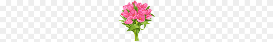 Clip Art Bunch Of Flowers, Flower, Flower Arrangement, Flower Bouquet, Plant Png