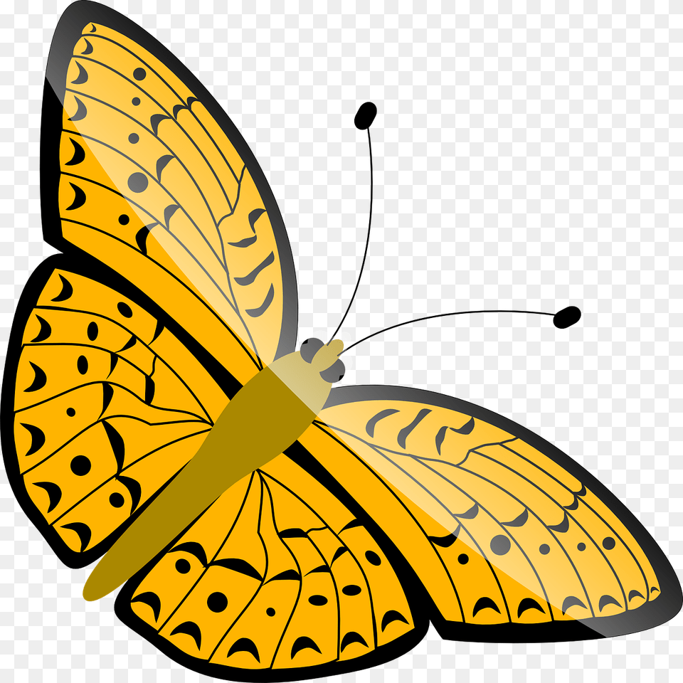 Clip Art Butterfly, Animal, Insect, Invertebrate, Fish Free Transparent Png