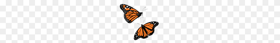 Clip Art Butterfly, Animal, Insect, Invertebrate, Monarch Free Png