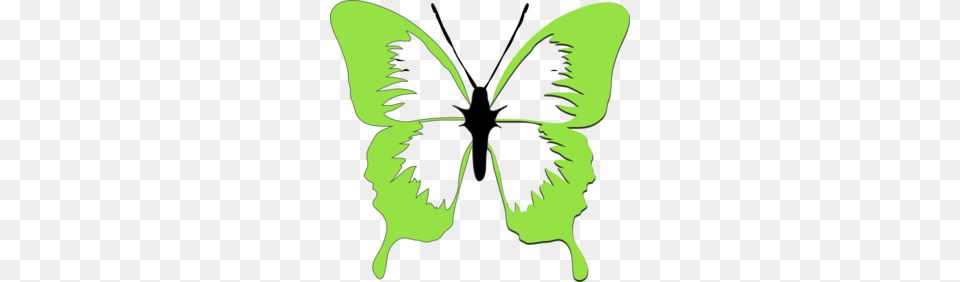 Clip Art Butterfly Green Bright, Stencil, Person Free Png