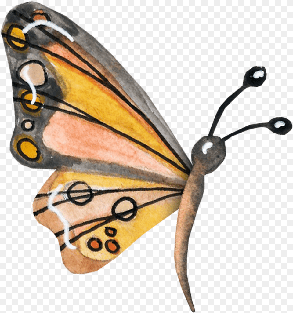 Clip Art Butterfly Nymphalidae Danaus Monarch Butterfly, Animal, Insect, Invertebrate Png Image