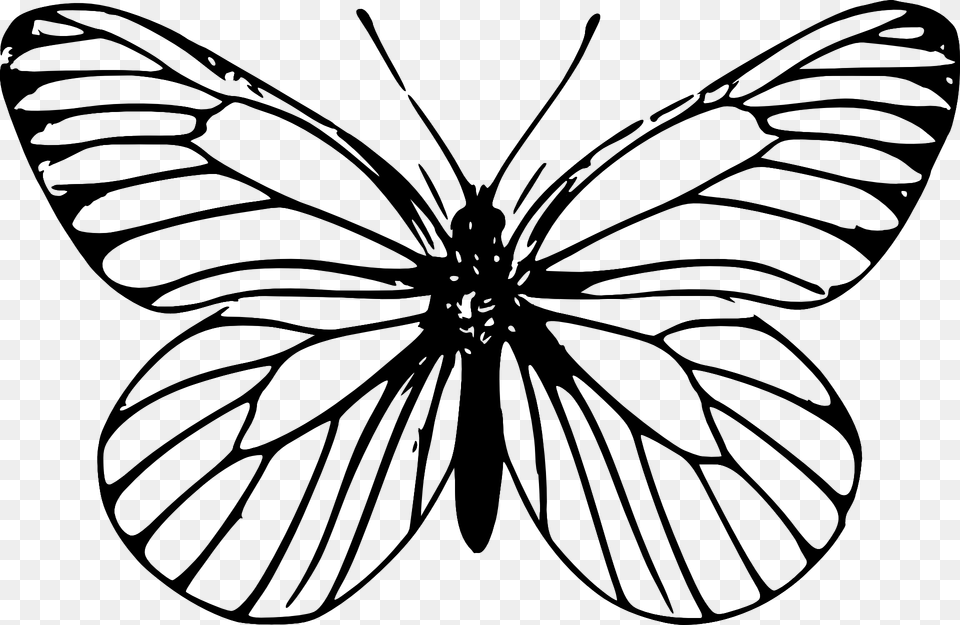 Clip Art Butterfly Outline Outline Drawing Of Butterfly, Stencil, Animal, Invertebrate, Spider Free Png