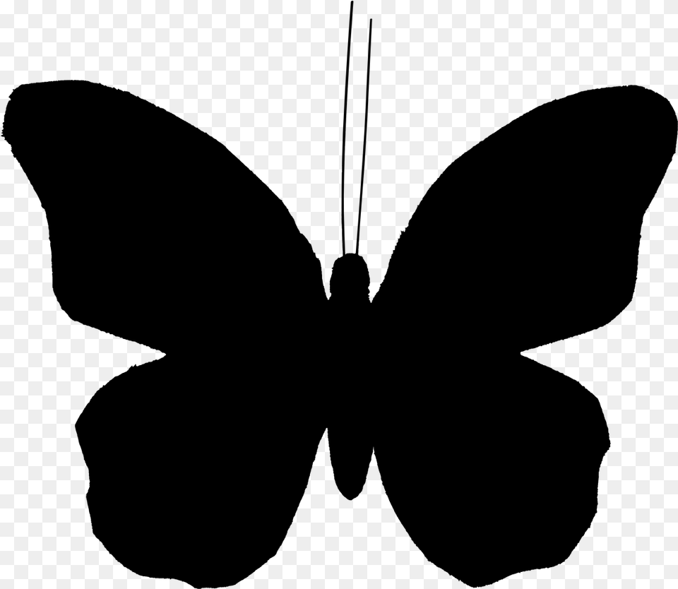 Clip Art Butterfly Vector Graphics Illustration Butterfly Silhouette Clip Art, Gray Free Transparent Png