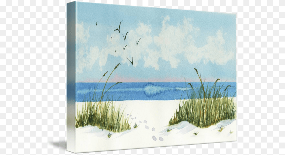 Clip Art By Nan Wright Footprints On The Beach, Grass, Plant, Outdoors, Nature Png