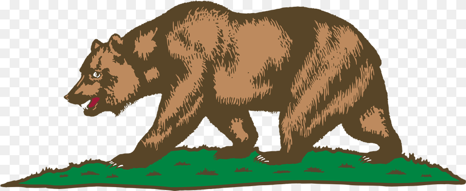 Clip Art California Flag Black And White California Bear On Flag, Animal, Mammal, Wildlife, Brown Bear Free Transparent Png