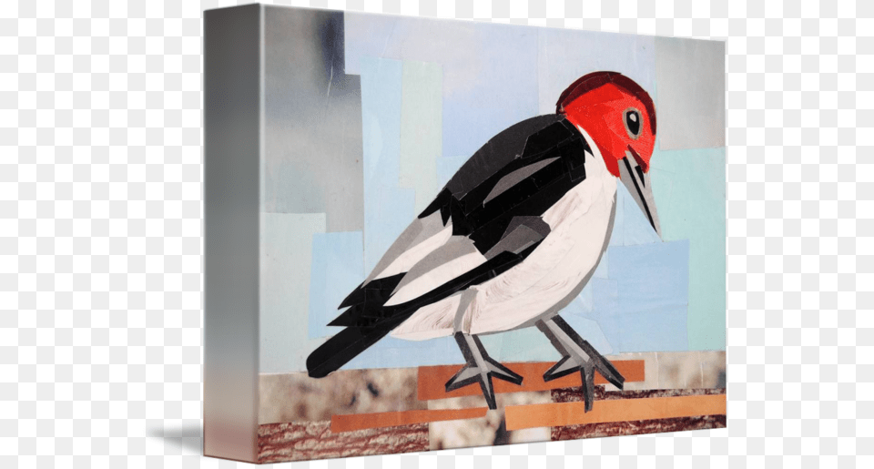 Clip Art Carpenter Bird, Animal Free Png