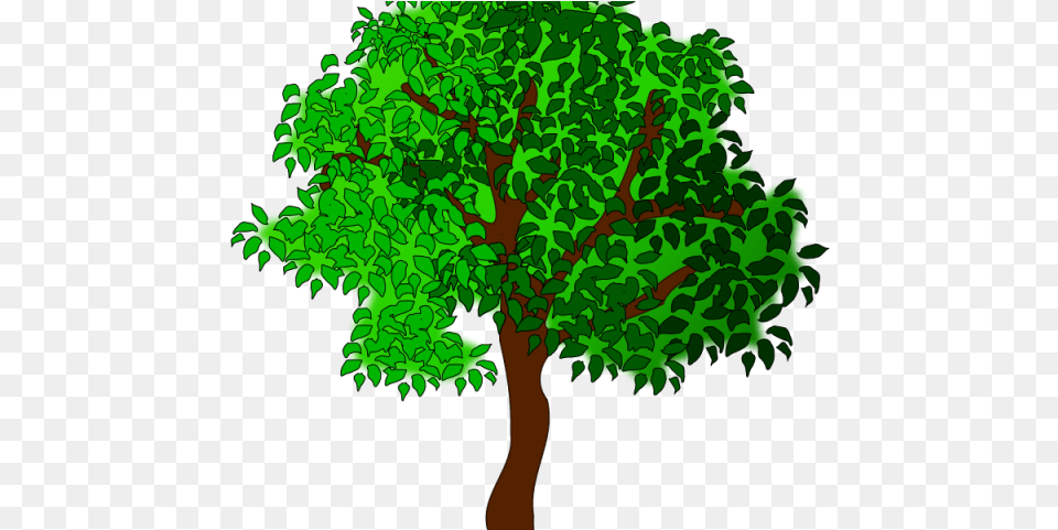 Clip Art Cartoon Tree Image Summer Summer Clip Art, Green, Oak, Plant, Potted Plant Free Transparent Png