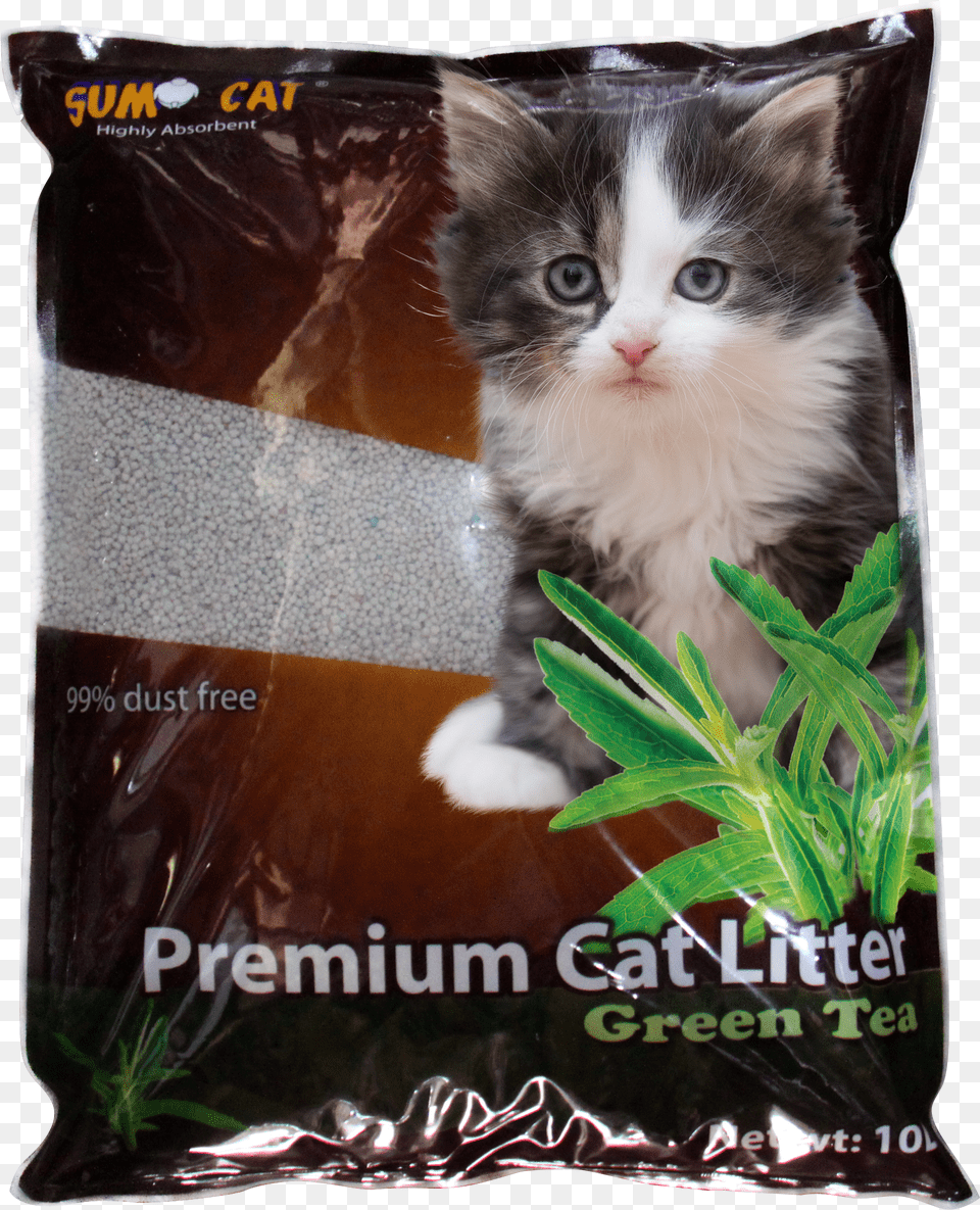 Clip Art Cats Whiskers Plant Cat Litter Premium Png
