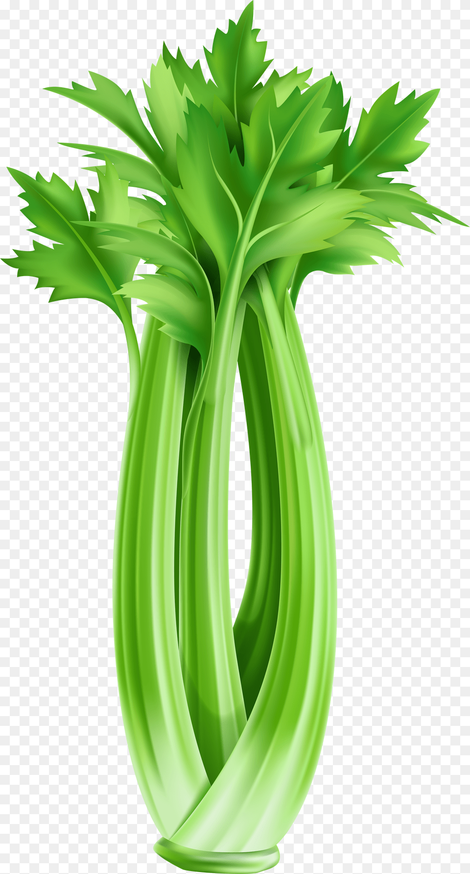 Clip Art Celery Clipart Celery Clipart Free Transparent Png