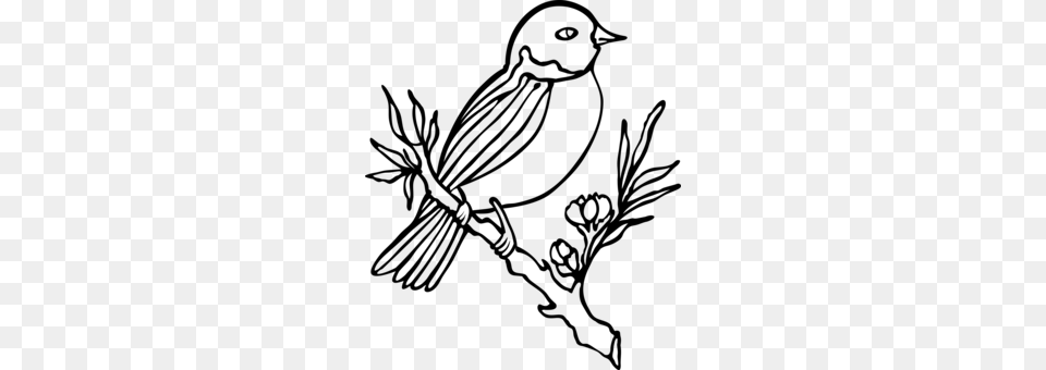 Clip Art Christmas Owl Northern Cardinal Bird Drawing, Gray Free Transparent Png