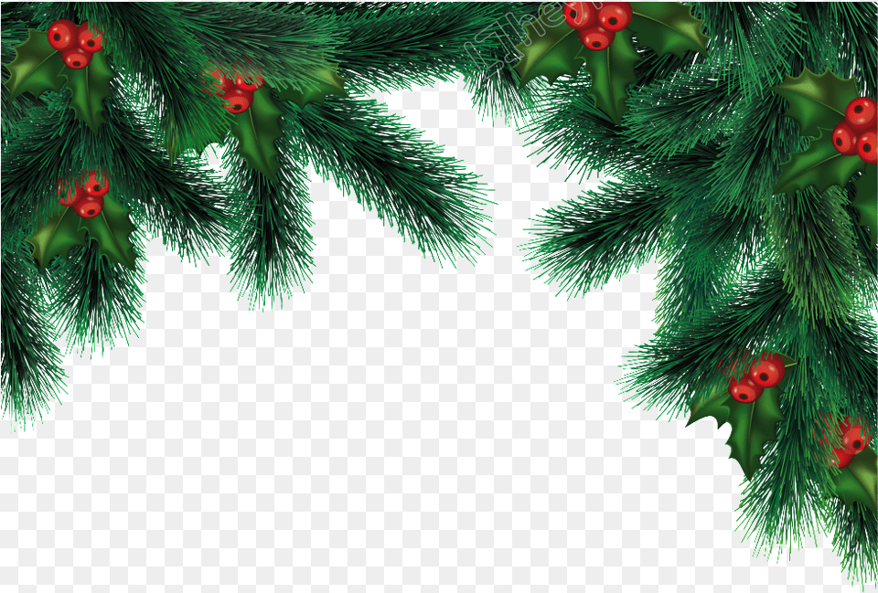 Clip Art Christmas Transparent Background Christmas, Conifer, Plant, Tree, Pine Png Image