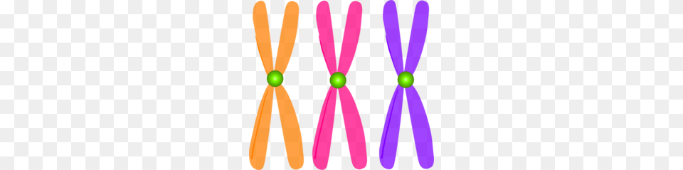 Clip Art Chromosomes Clipart Biology Clipart, Purple, Accessories, Formal Wear, Tie Free Png