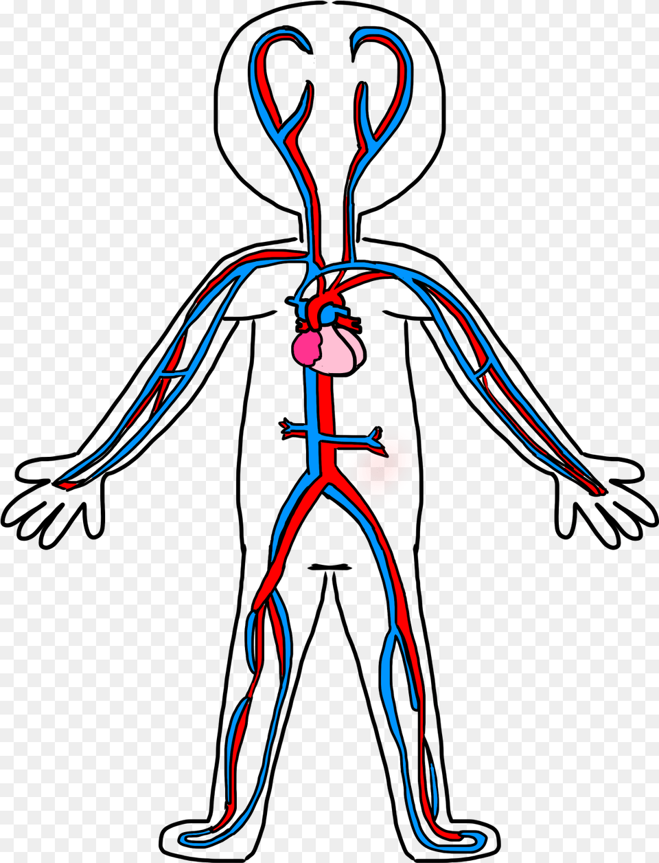 Clip Art Circulatory System Drawing Circulatory System Simple Drawing, Adult, Female, Person, Woman Free Transparent Png