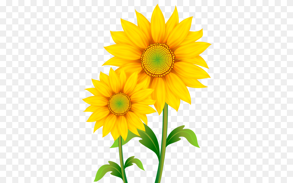 Clip Art Clip Art, Flower, Plant, Sunflower Free Png Download