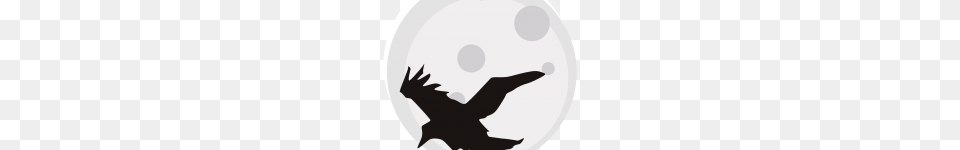 Clip Art Clip Art Crow, Silhouette, Animal, Bird, Blackbird Free Png Download