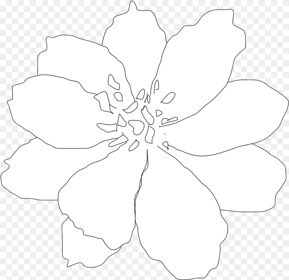 Clip Art Clip Art Line Tattoo Flower Flower Clipart Black And White Flowers, Anemone, Anther, Petal, Plant Free Transparent Png