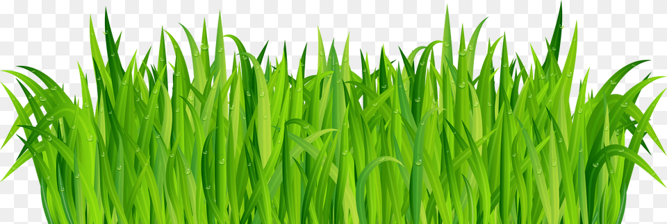 Clip Art Clip Art Of Grass Grass Png Image