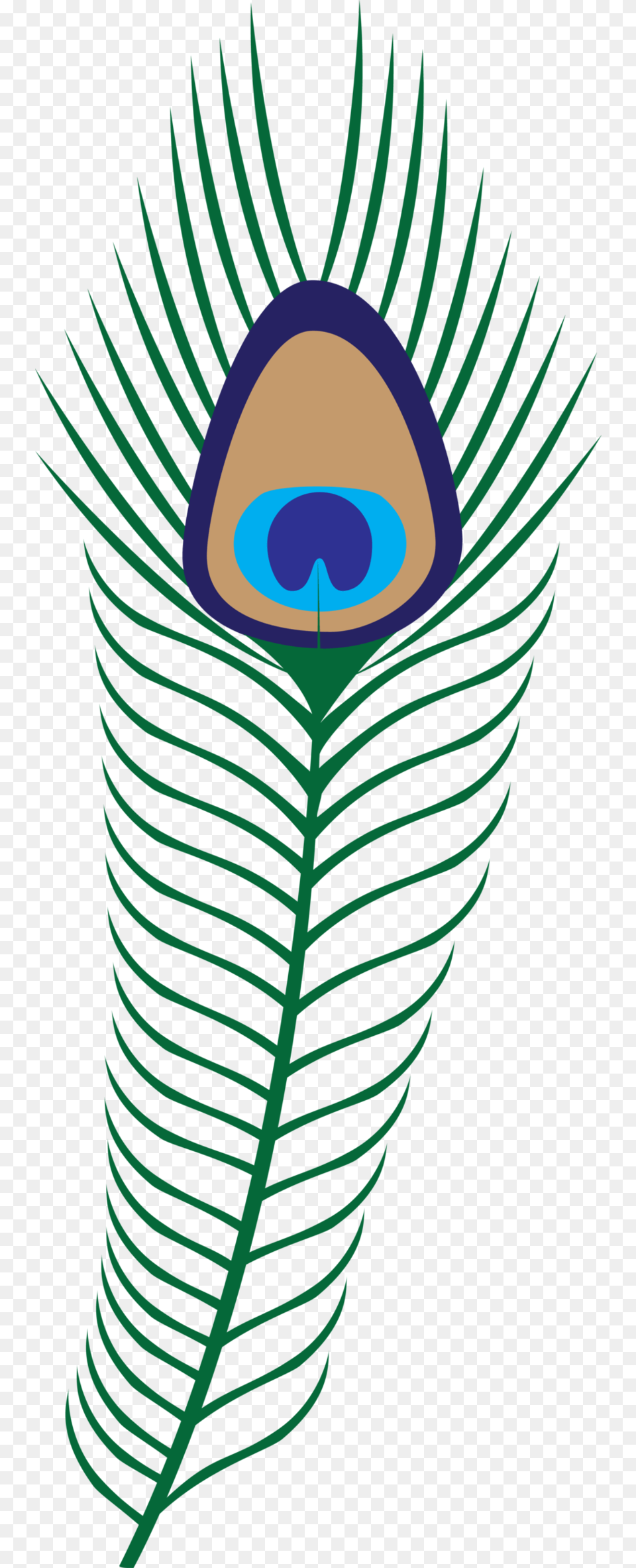 Clip Art Clip Art Peacock Feather, Pattern, Light, Animal, Mammal Png