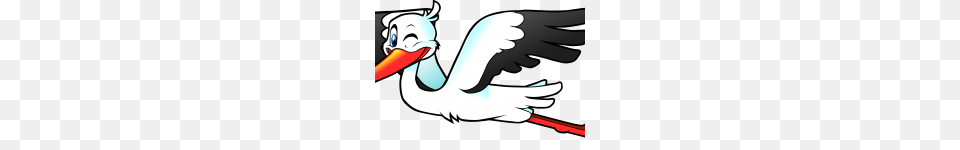 Clip Art Clip Art Stork, Animal, Bird, Waterfowl, Crane Bird Free Png