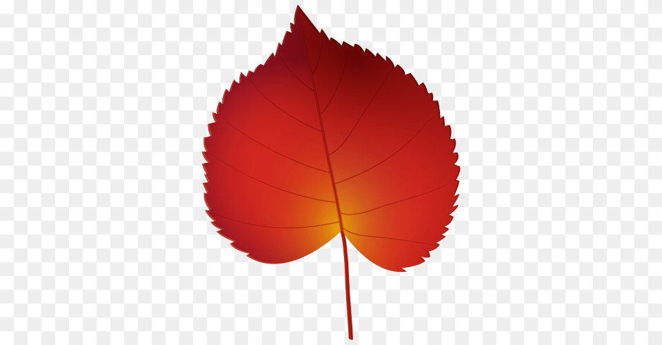 Clip Art Clip Art Teaching, Leaf, Plant, Tree, Maple Leaf Png