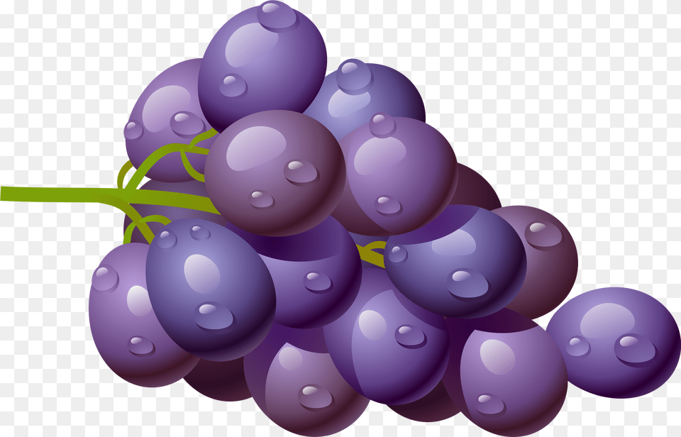 Clip Art Clipart Of Fruits Apple Grape Clipart Transparent, Food, Fruit, Grapes, Plant Free Png