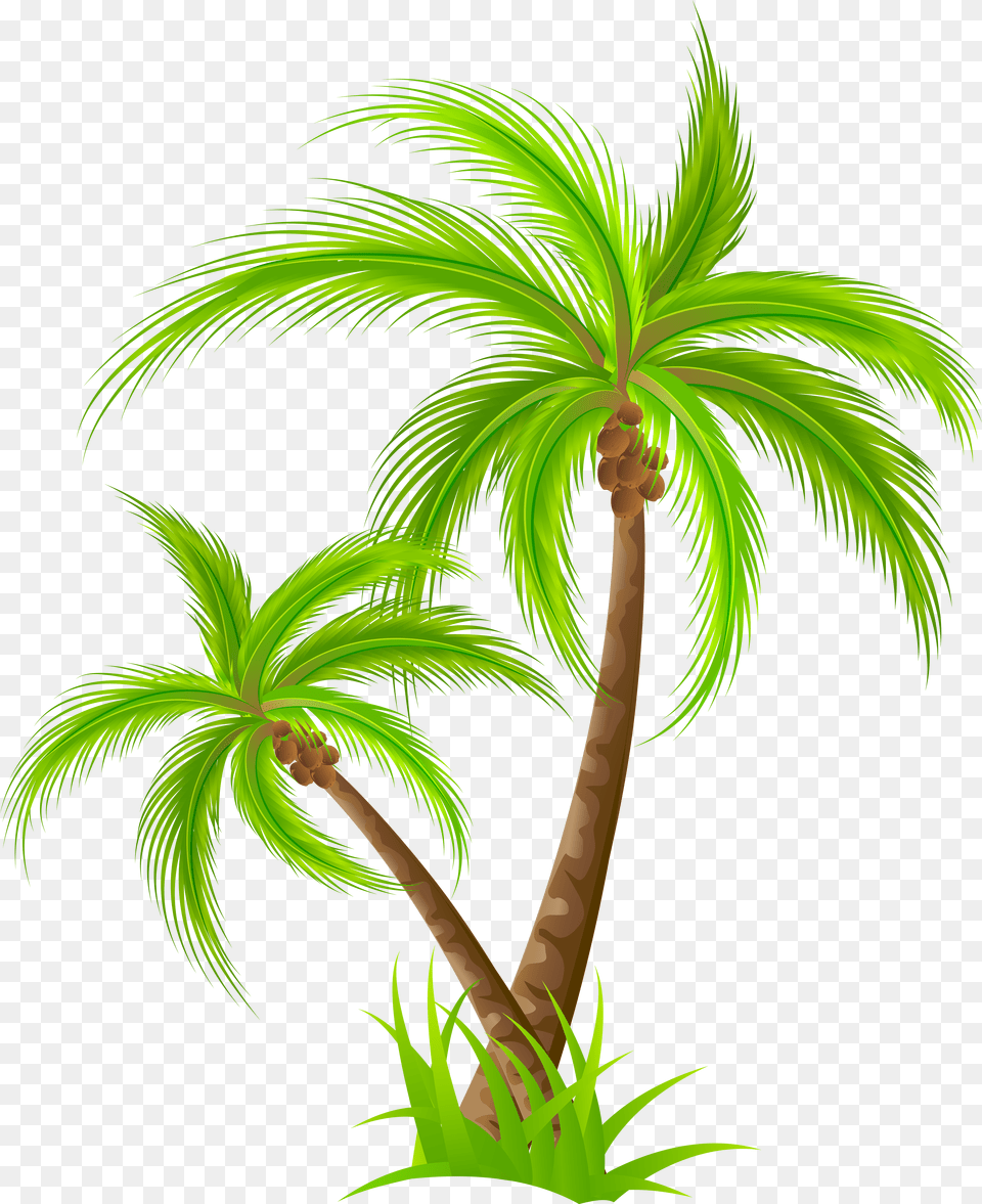 Clip Art Clipart Palm Tree, Sign, Symbol, Triangle, Road Sign Free Png Download