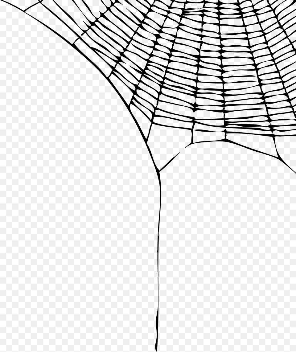 Clip Art Cobweb Spider Web Background, Gray Free Png Download