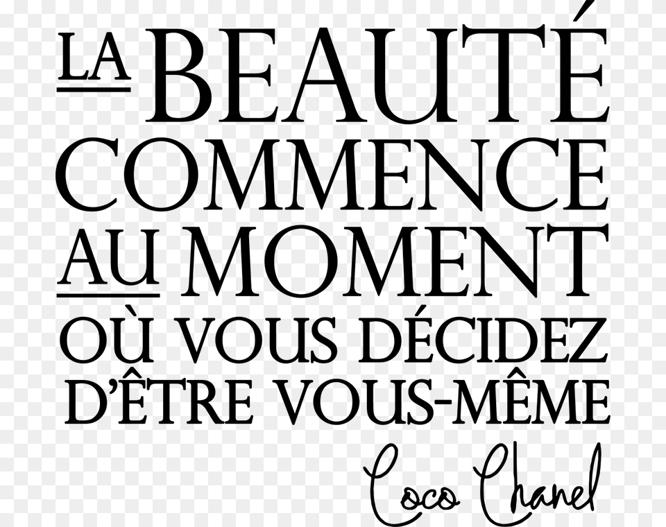 Clip Art Coco Chanel Meme Beauty, Gray Png