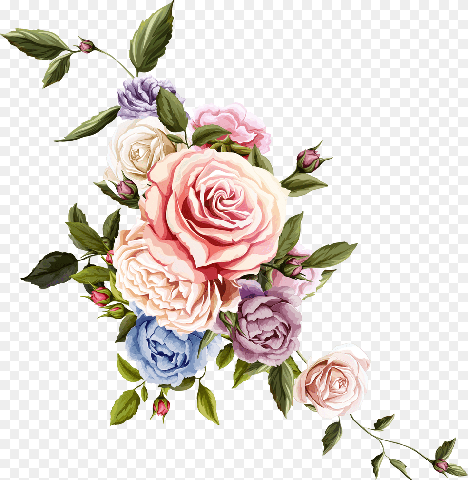 Clip Art Collection Bouquet Drawing Beautiful Flower Rose Drawing, Plant, Pattern, Graphics, Floral Design Png Image